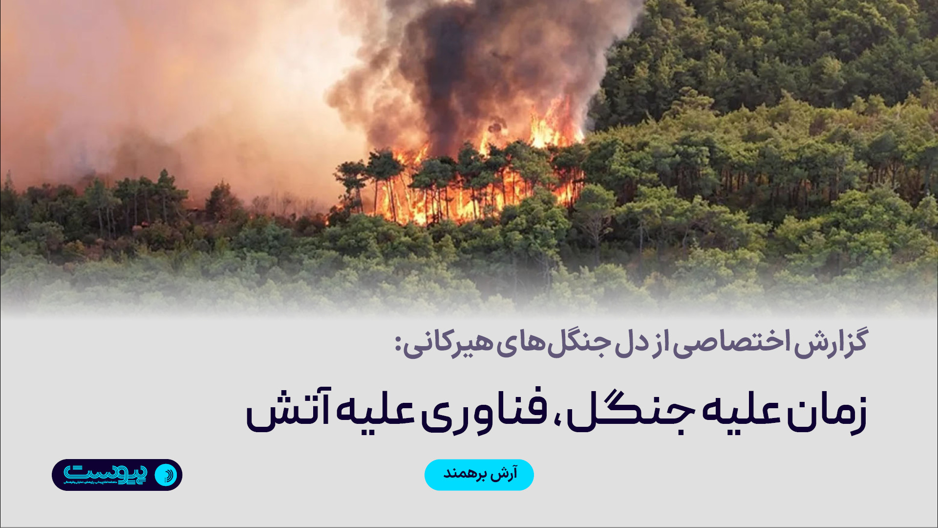 گزارش اختصاصی از دل جنگل‌های ه...