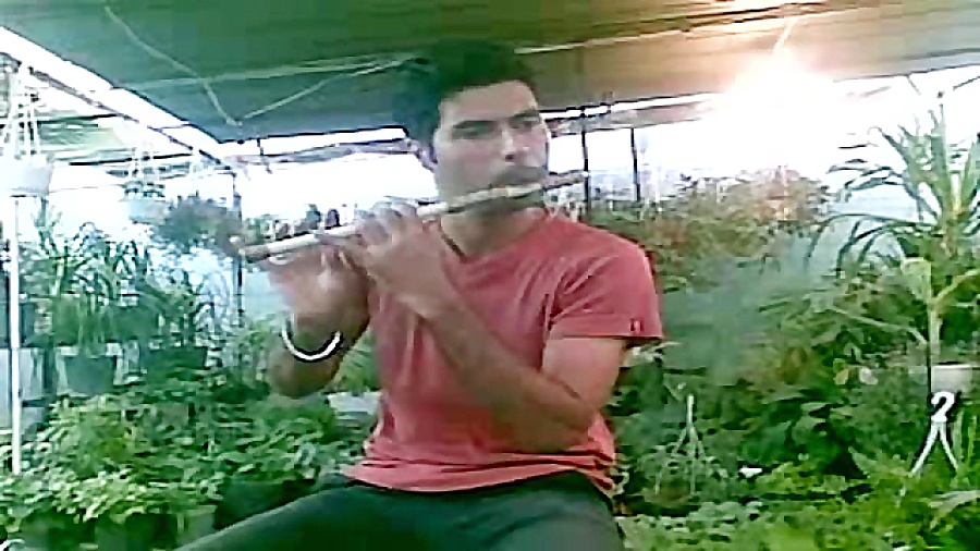 آهنگ غمگین با ساز فلوت(شبهای ر...