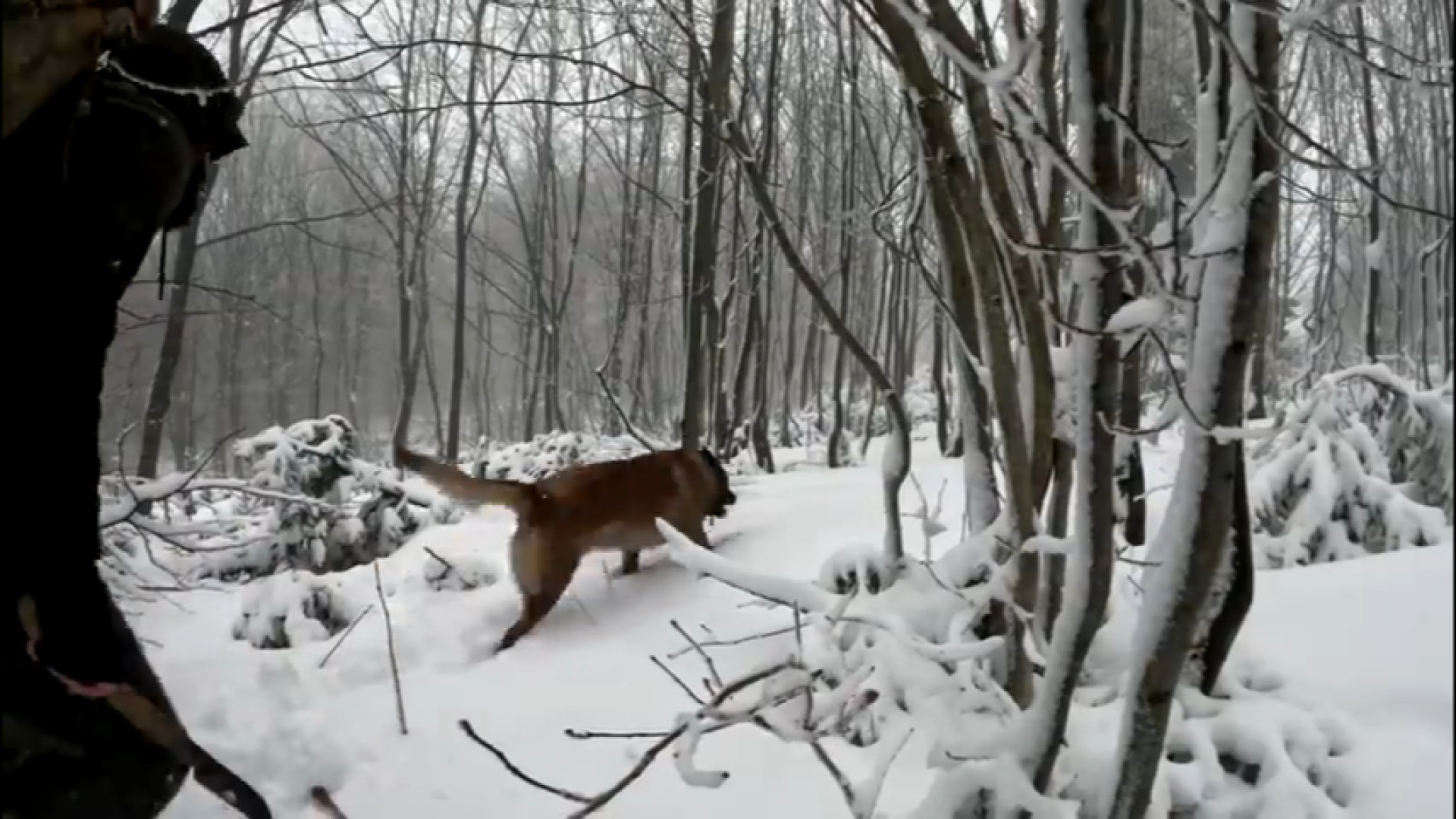 ۲ روز آرامش مطلق در کمپینگ زمس...