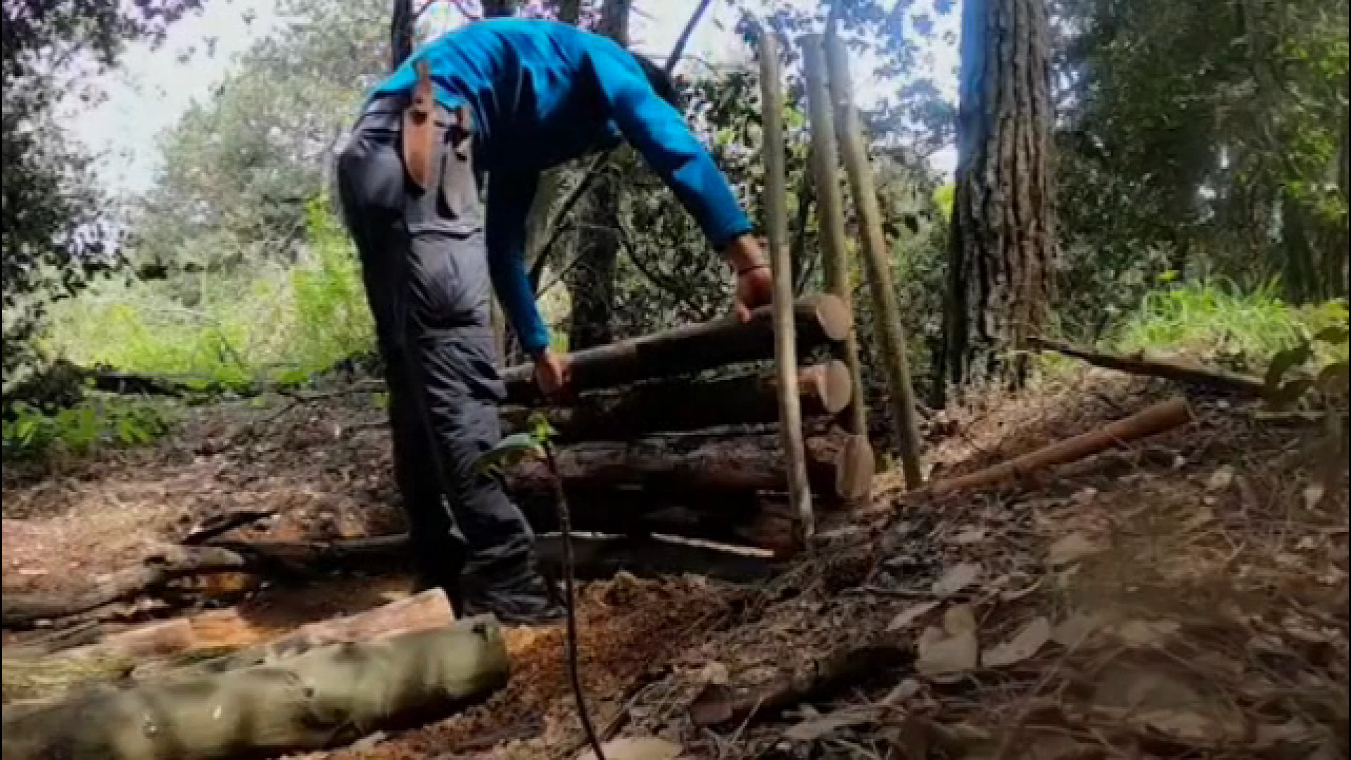 ساخت کلبه چوبی اسرار آمیز برای...