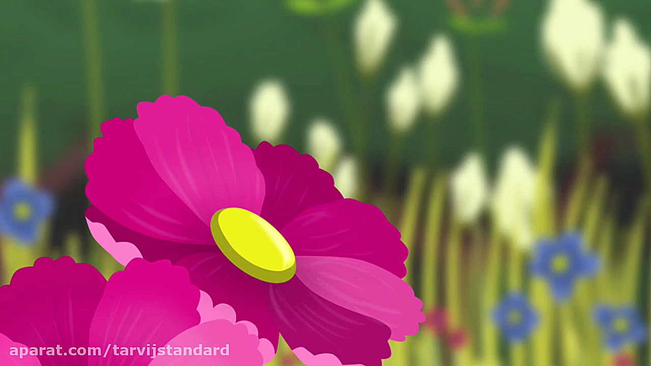 رعایت استاندارد ها، افزایش توا...