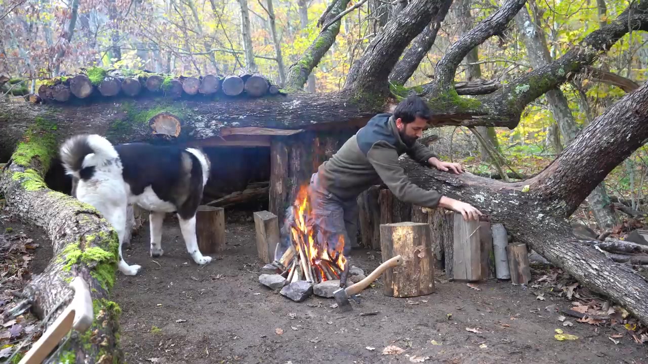 ساخت کلبه زیبای چوبی جنگلی برا...