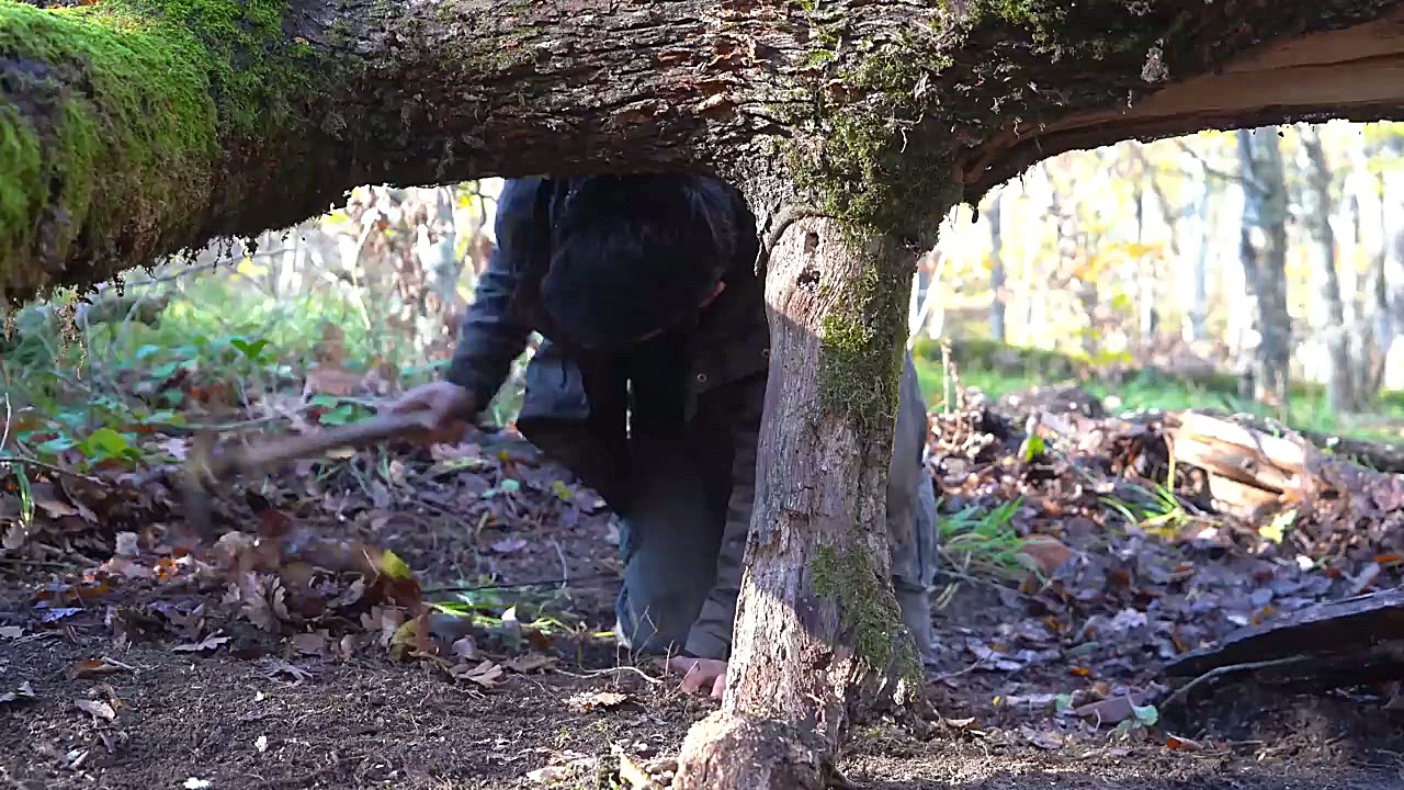 ساخت کلبه زیبای چوبی جنگلی برا...