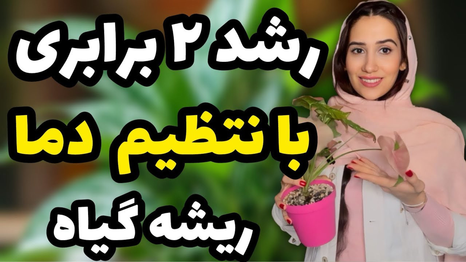 رشد چند برابری گیاهان آپارتمان...