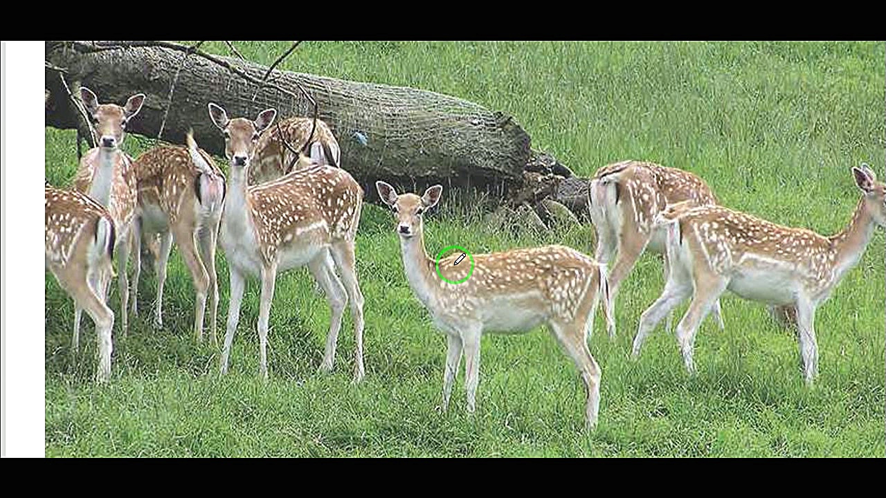 درس 7 عربی هشتم بخش اول لغات و...