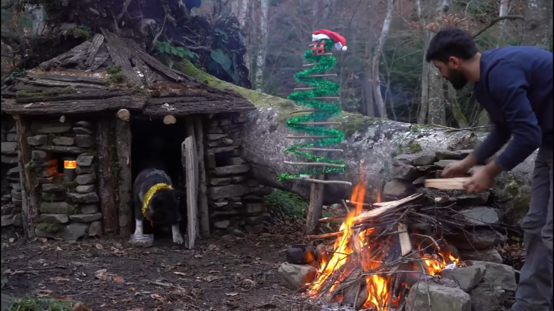 کمپینگ کریسمس سال نو میلادی در...