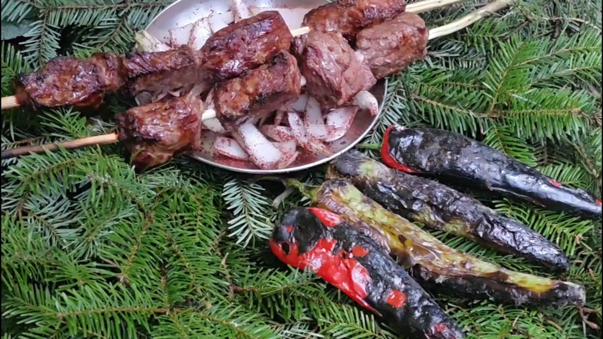 اگر آتش کمپ خاموش می شد از سرم...