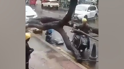 فقط خدا حافظ ماست