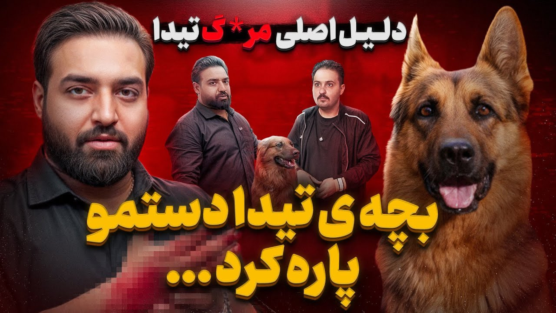 دلیل مـ ـرگ تیدا باهوش ترین سگ...