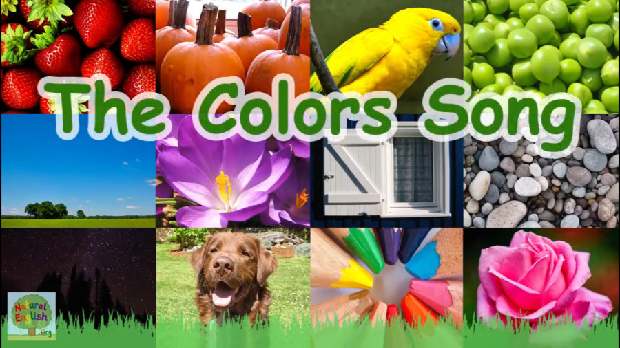 Que Color Song color song