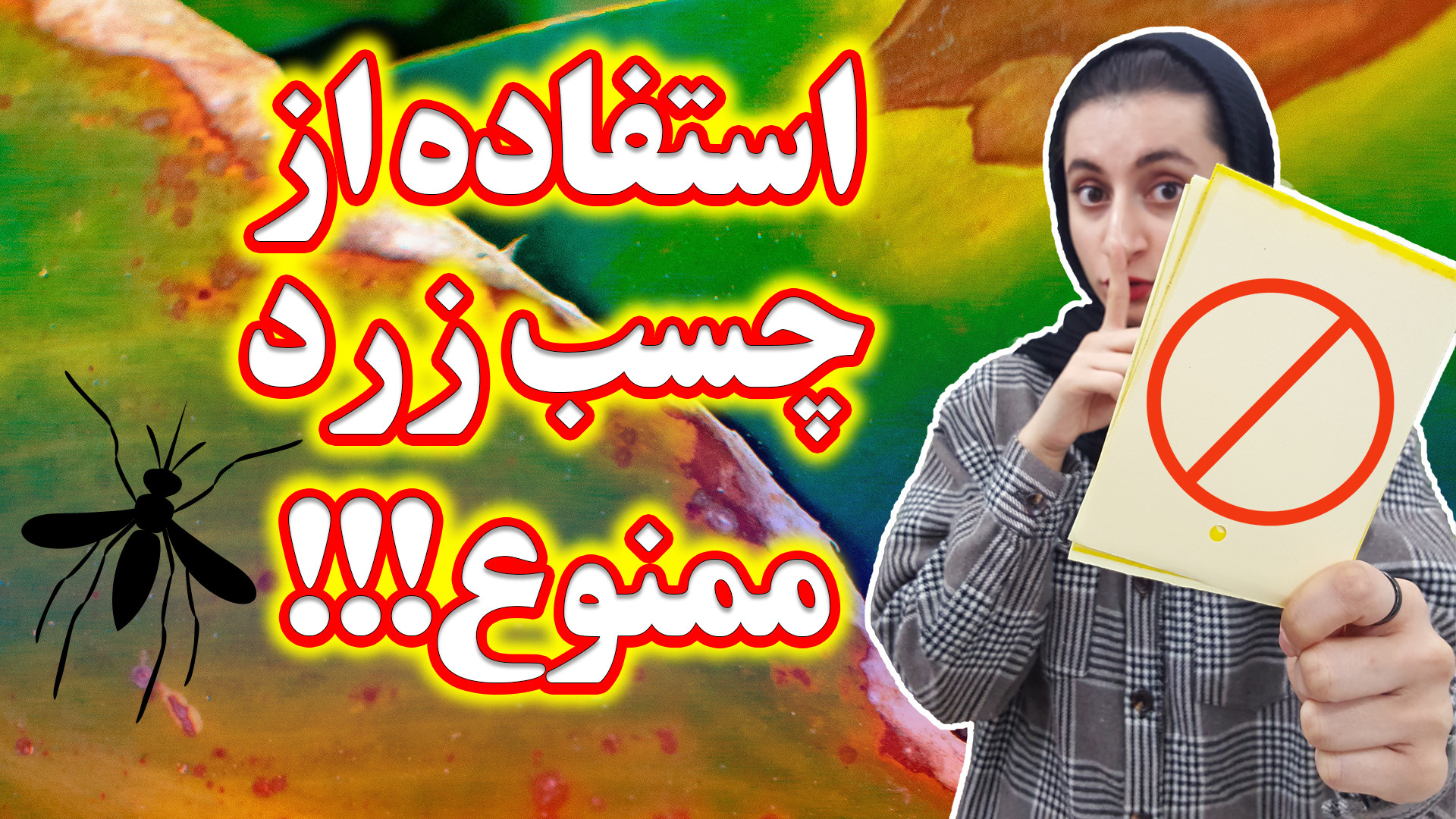 چسب زرد حشرات ابزاری برای از ب...