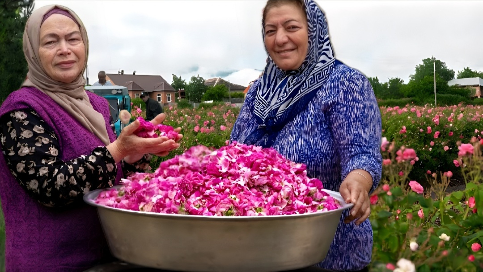 طرز تهیه مربا و کمپوت و دمنوش...