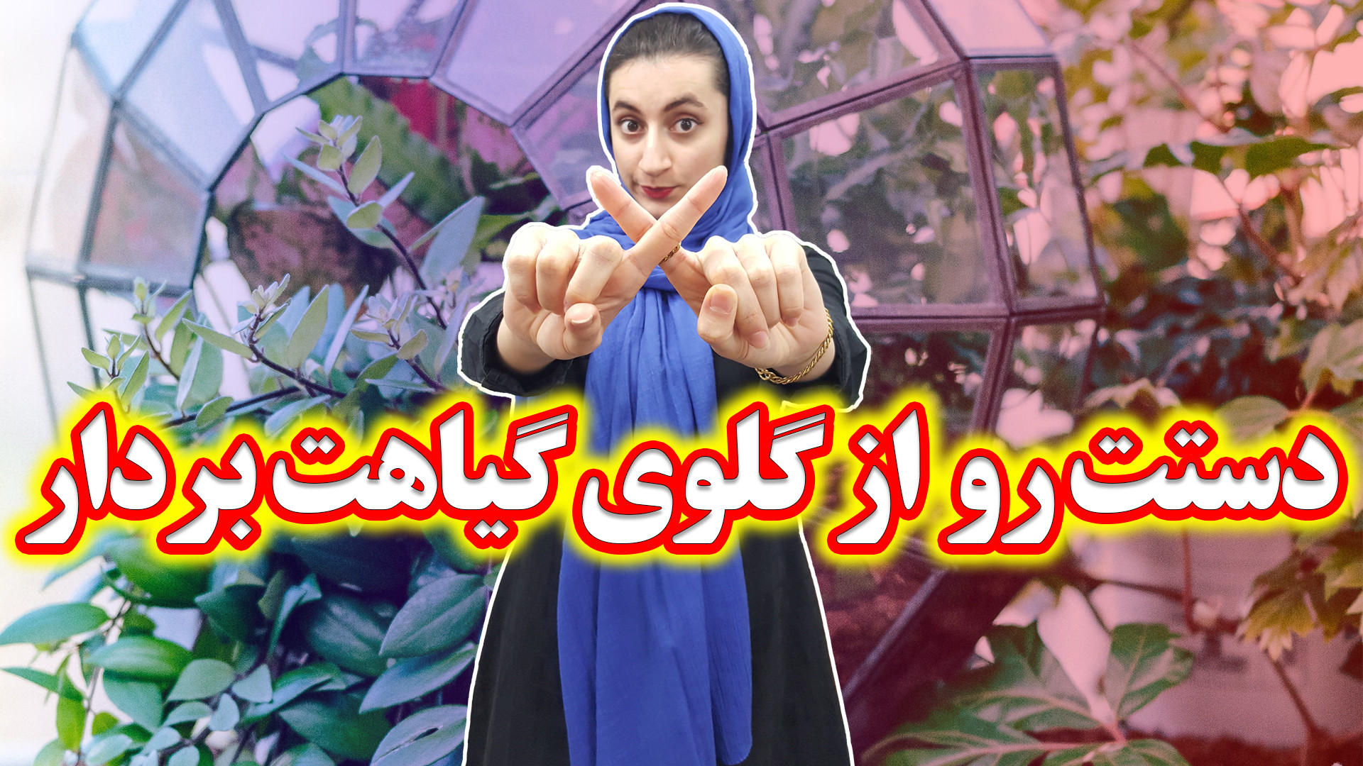 جلوگیری از مرگ گیاهان در پاییز...