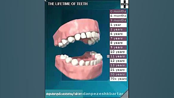 ترتیب رویش دندان شیری و افتادن...
