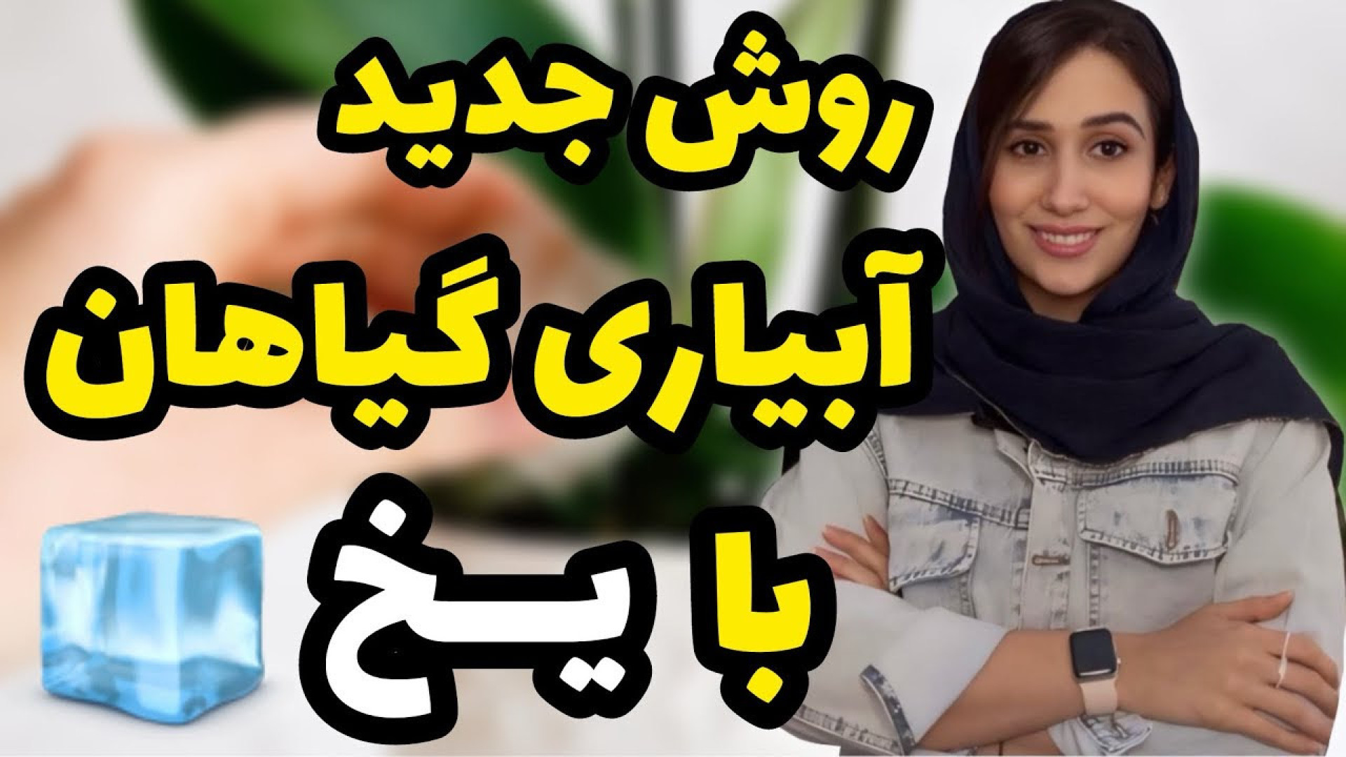 روش جدید آبیاری گیاهان با یخ م...