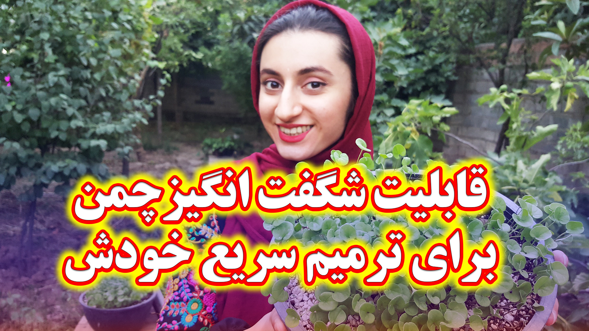 چطور چمن بعد از پاخوری و مرگ ب...