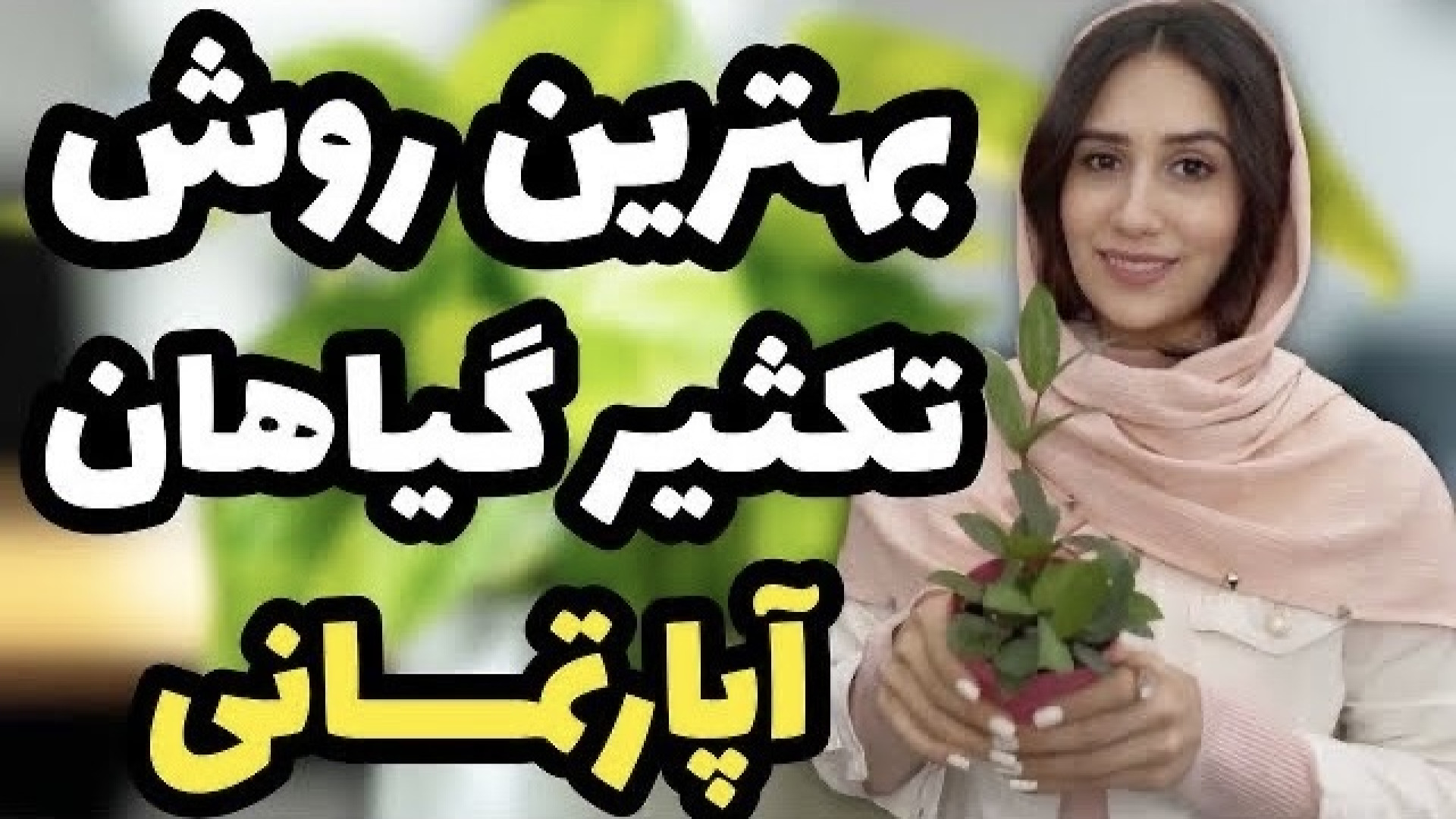 آموزش بهترین روش تکثیر گیاهان...