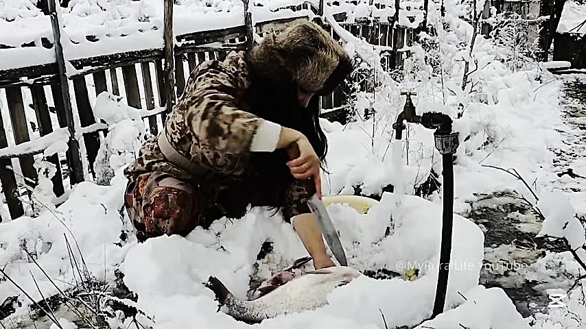 پخت کوکی ماهی در روستای برفی