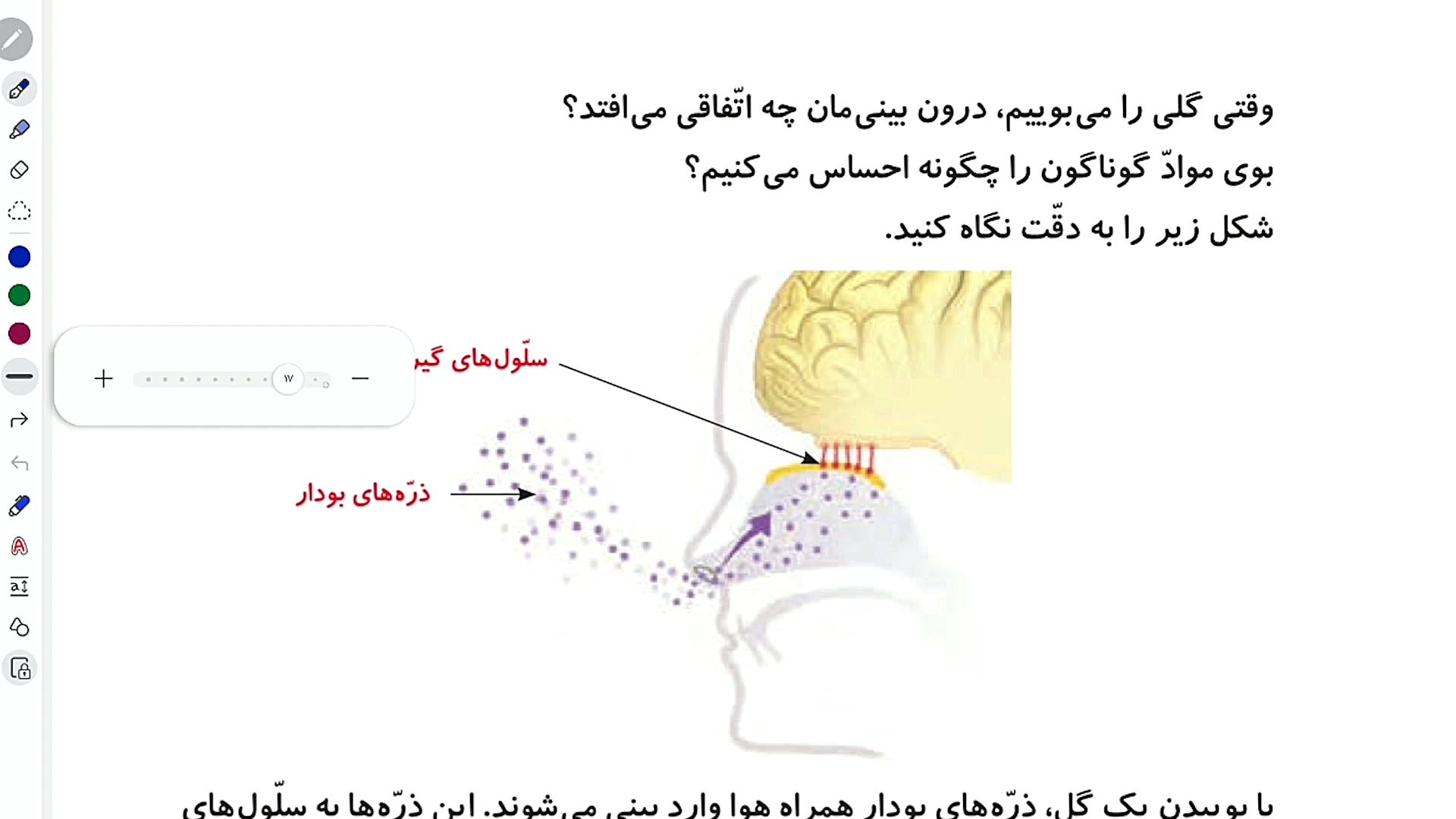 علوم پنجم ابتدایی درس۷ صفحه 5۸