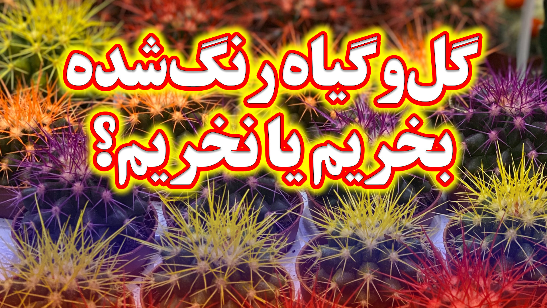 مرگ میلیون ها گل و گیاهان طبیع...