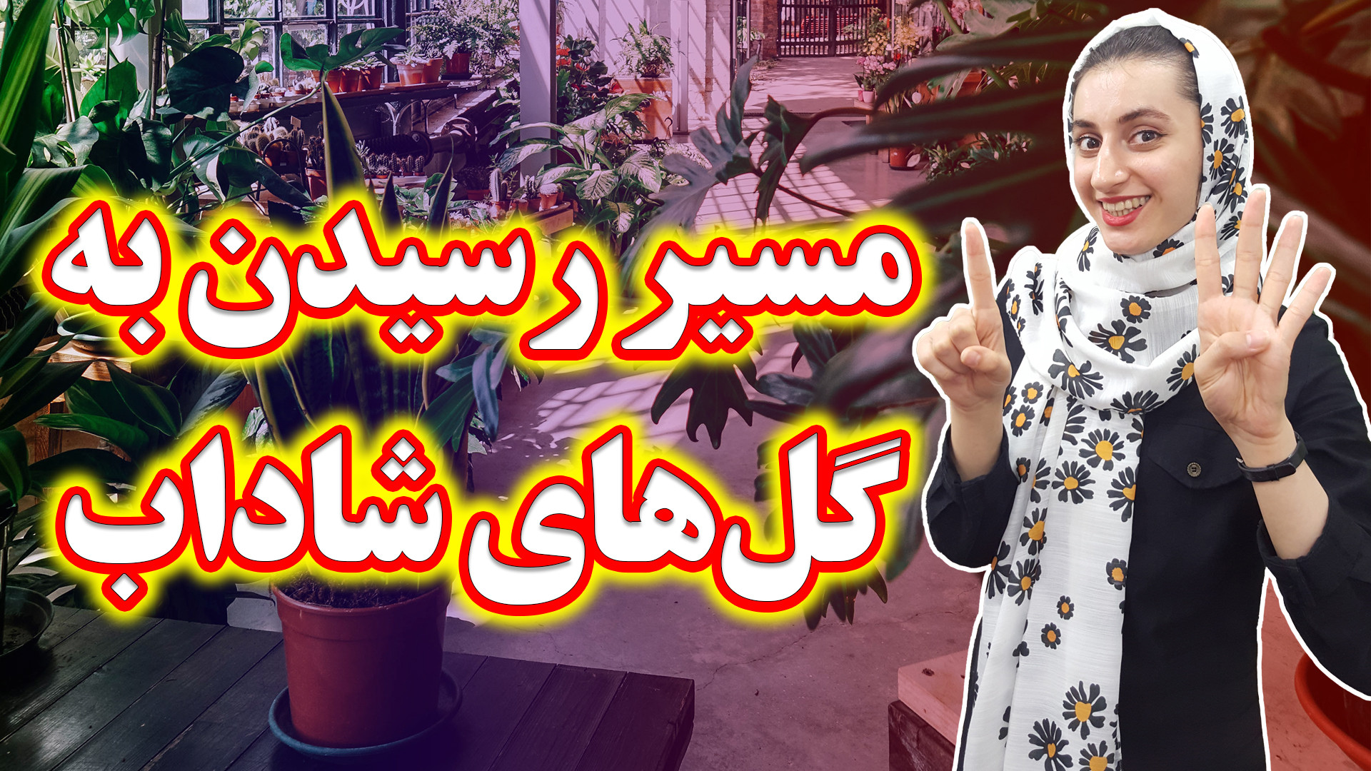 بهترین عادات افراد موفق در نگه...