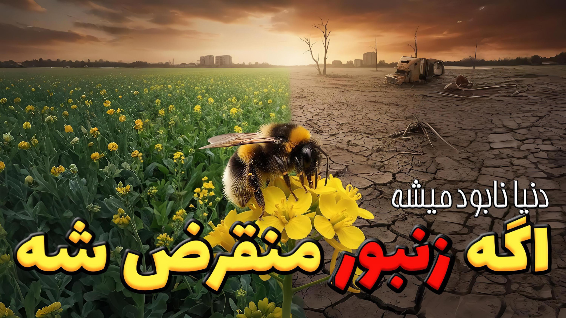 انیشتین: اگه زنبورا منقرض شن،...