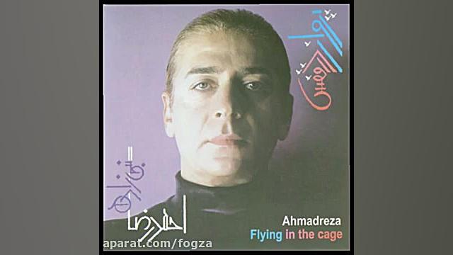 پرواز در قفس ، احمدرضا نبی زاد...