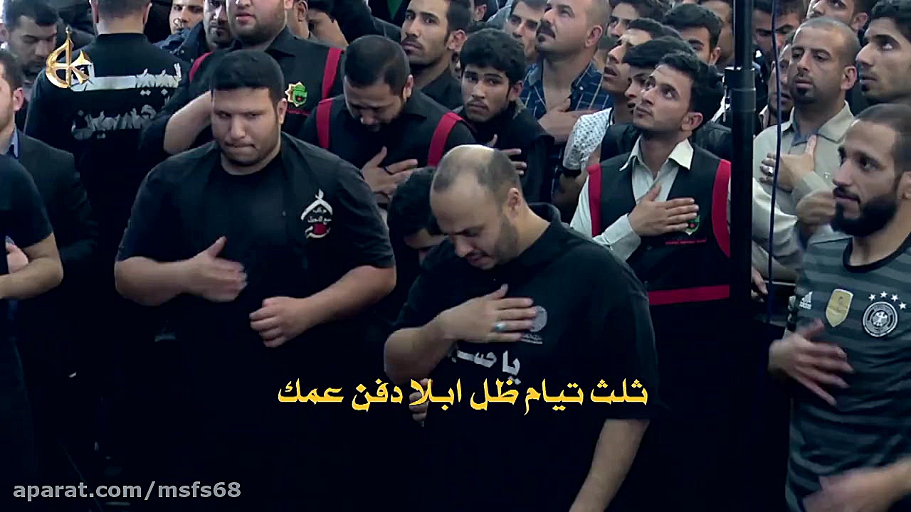 وجه الشبه | الرادود باسم الكرب...