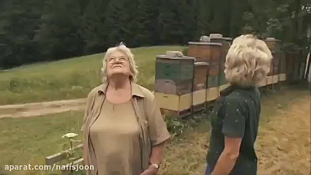 فیلم جفت گیری ملکه زنبور عسل د...