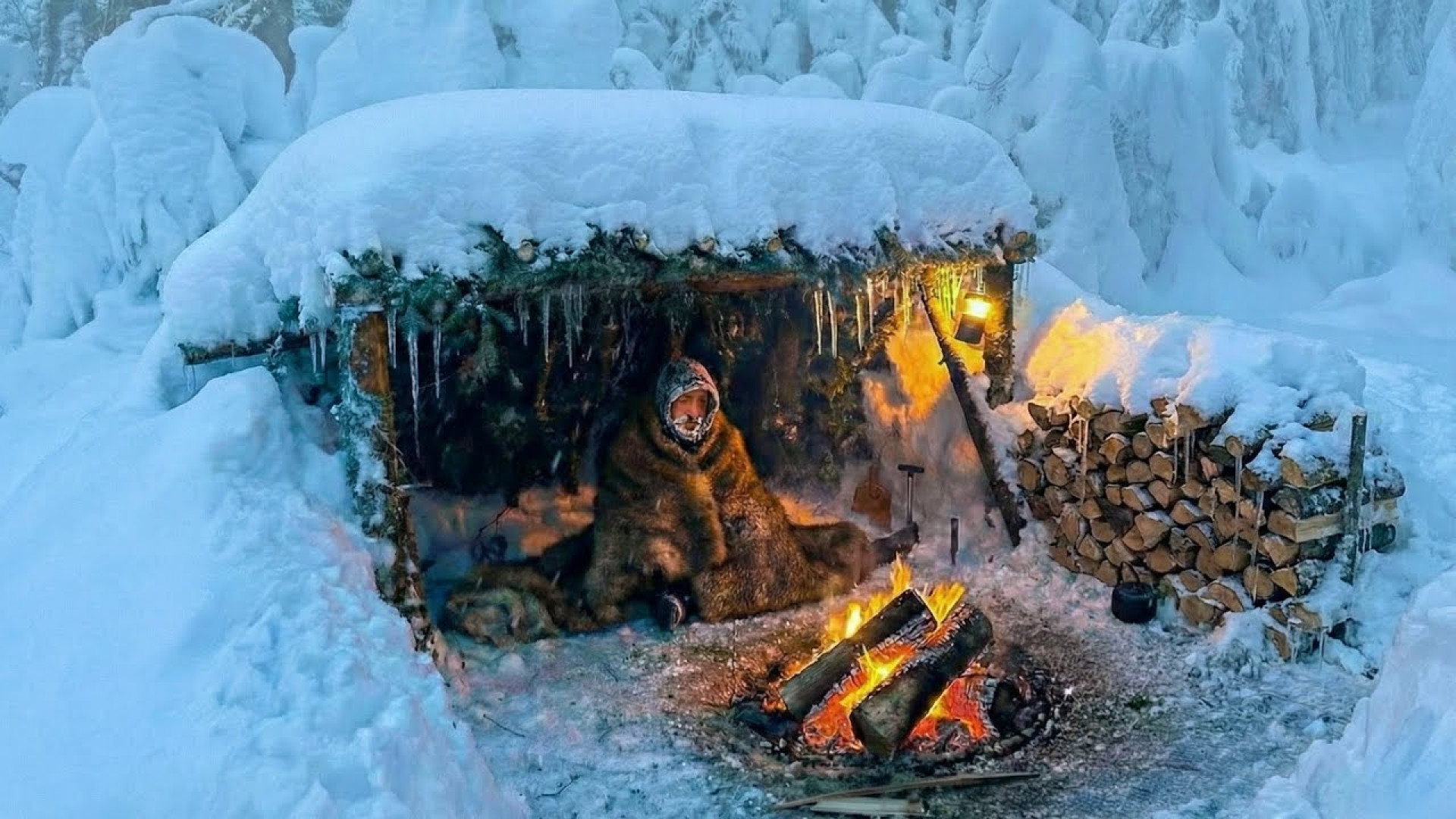 کمپ آرامش بخش در اعماق جنگل بر...