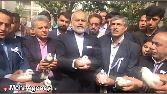 داوطلبی كه كبوتر هوا كرد!
