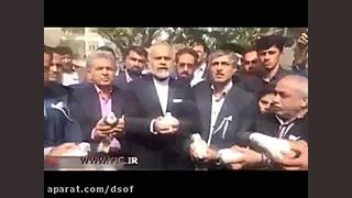 کبوتر هوا کردن یک داوطلب