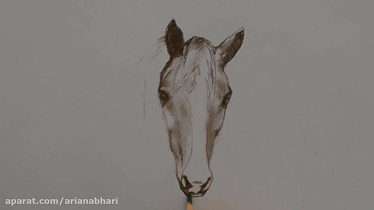 تایم لپس نقاشی اسب