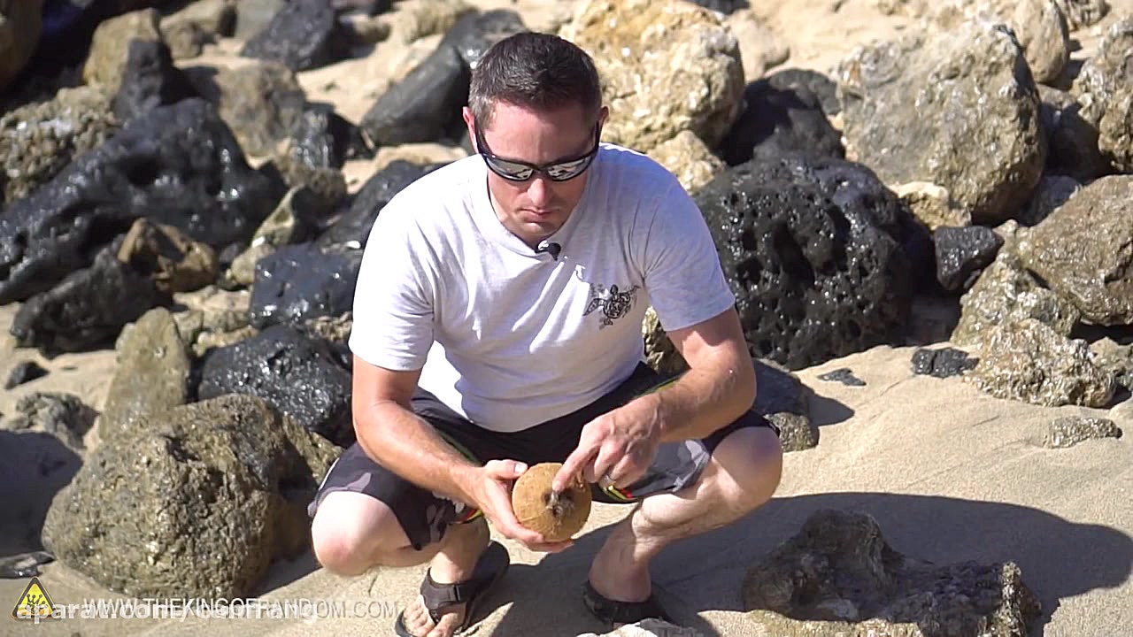 چگونه بدون هیچ ابزاری نارگیل ر...