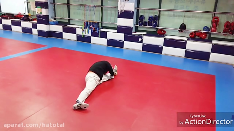 تمرینات پاباز 180 در تکواندو (...