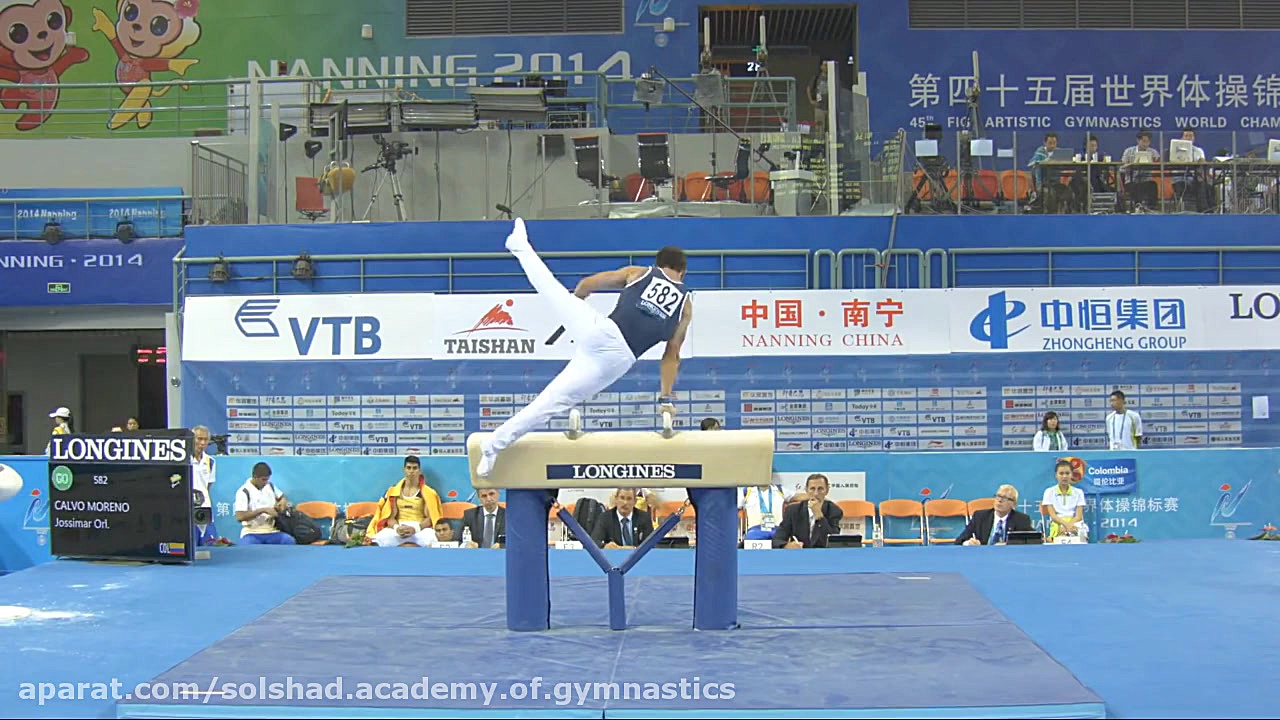 داوری خرك حلقه ژیمناستیک