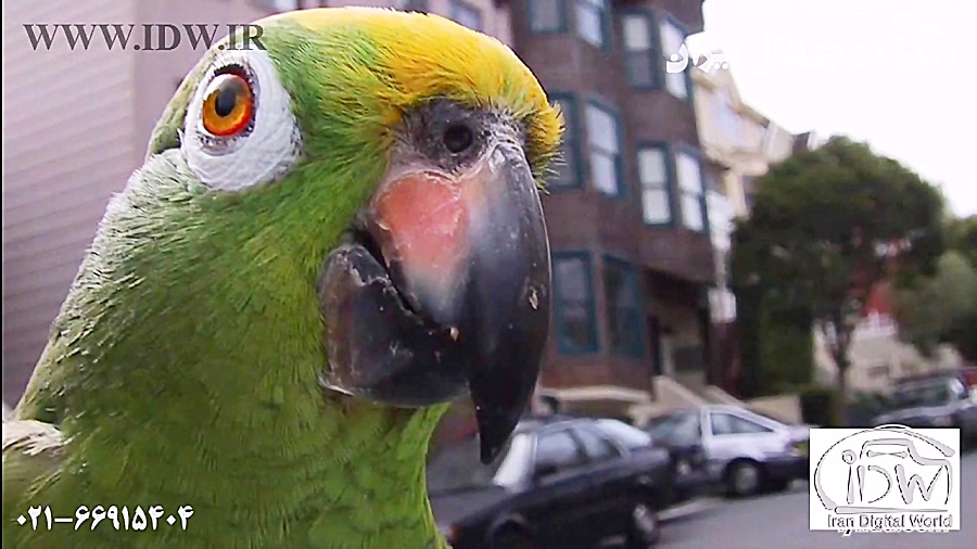 آموزشی 193 مبانی لنزهای عکاسی...