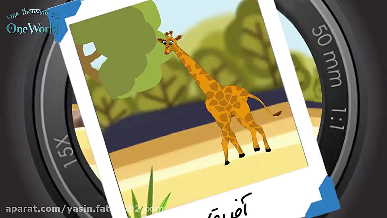 زرافه  Giraffe