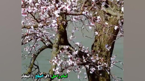 وحشت رئیس آژانس اطلاعات دفاعی...