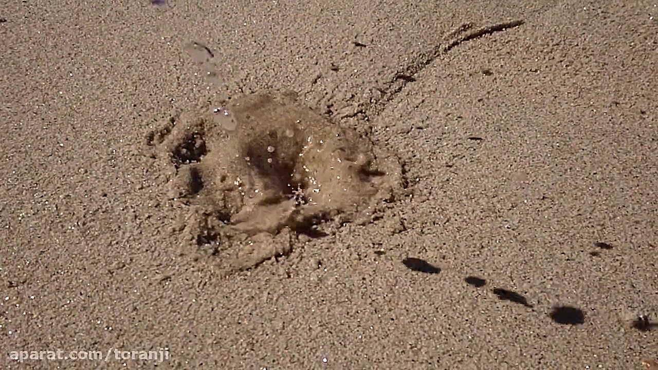 نمونه ویدئو حرکت آهسته Sony Xp...