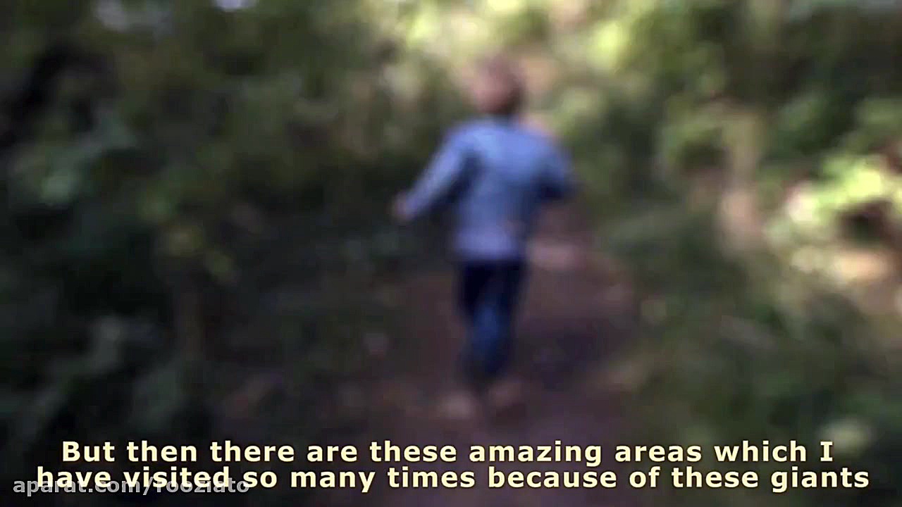 ساخت مجسمه های چوبی غول پیکر د...