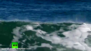 لحظه حمله کوسه به موج سوار