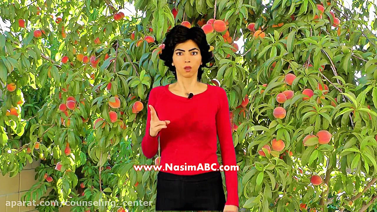 خنده دار ترین کلیپ طنز آموزنده...