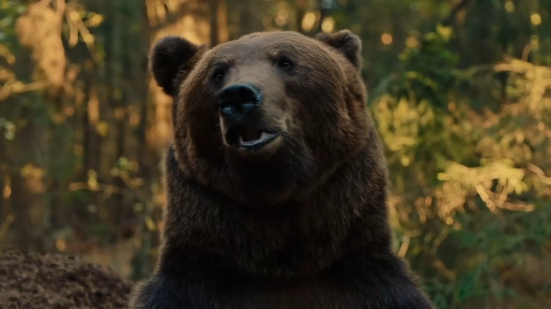 فیلم بابا خرسه  Papa Bear زمان5432ثانیه