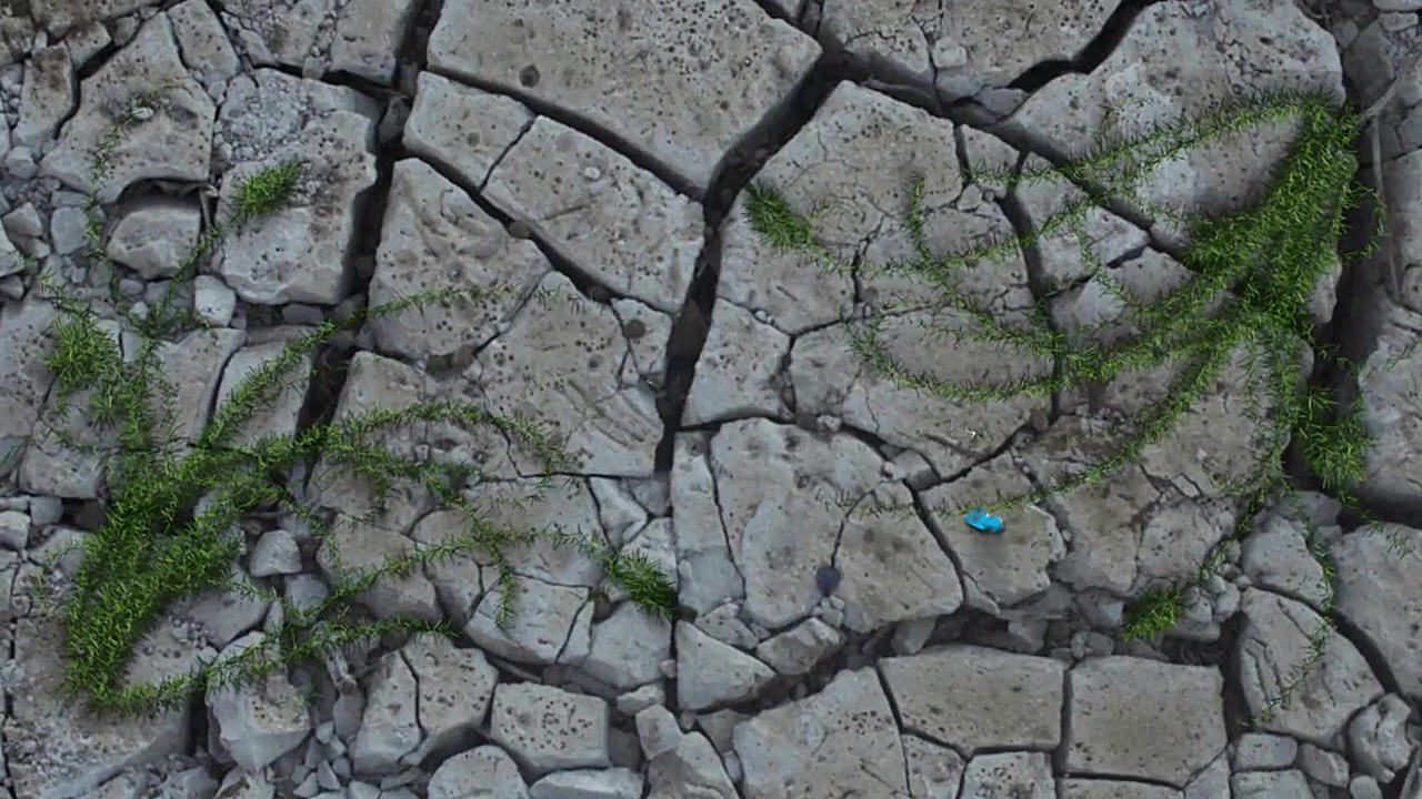 سفارش ویدیو کلیپ تیزر نمایش لو...