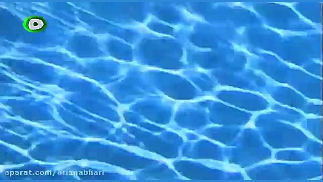 دوبله فارسی سریال باب اسفنجی SpongeBob قسمت 203 زمان712ثانیه