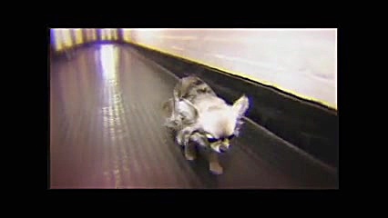 مامان سالومه کجایی ؟؟؟؟