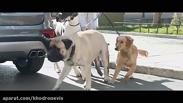 Hyundai SantaFe 2017 ad