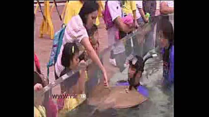 بازدید مردم از ماهی چهارگوش و...