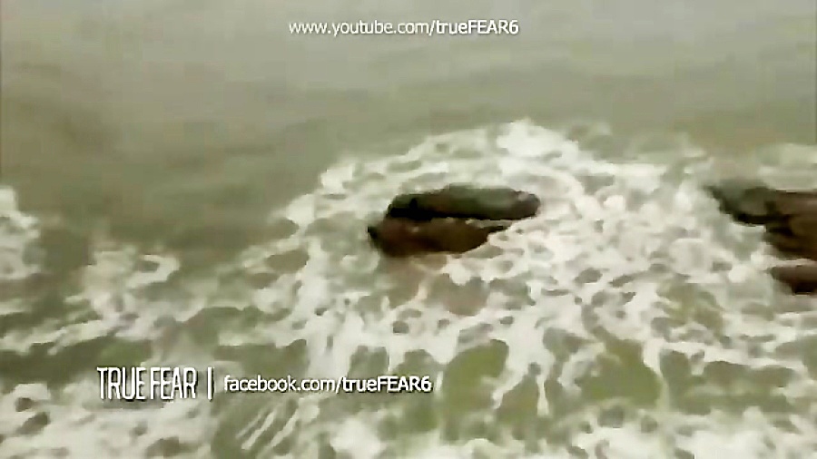 پری دریایی در سواحل، واقعی